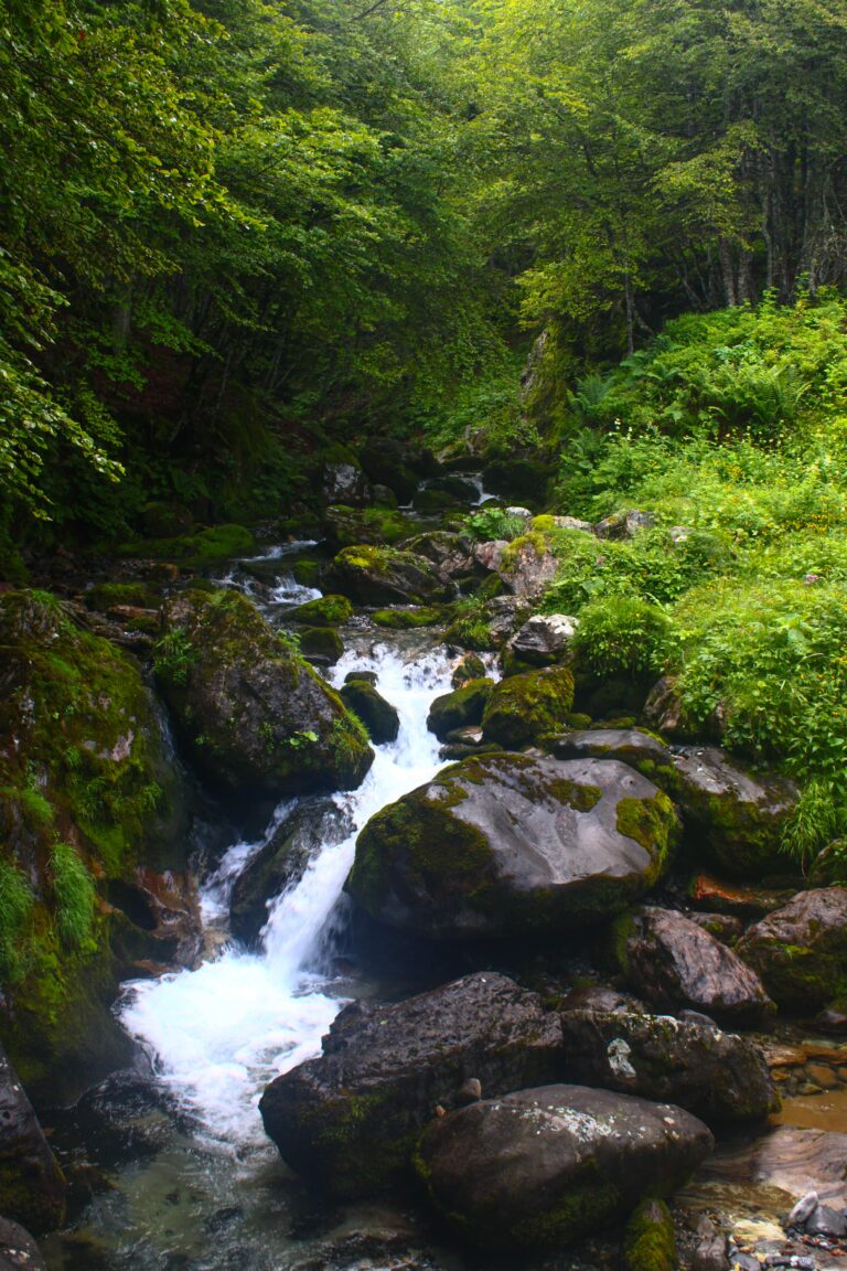 Joli torrent coulant en cascade en vallée du Valentin, à Gourette