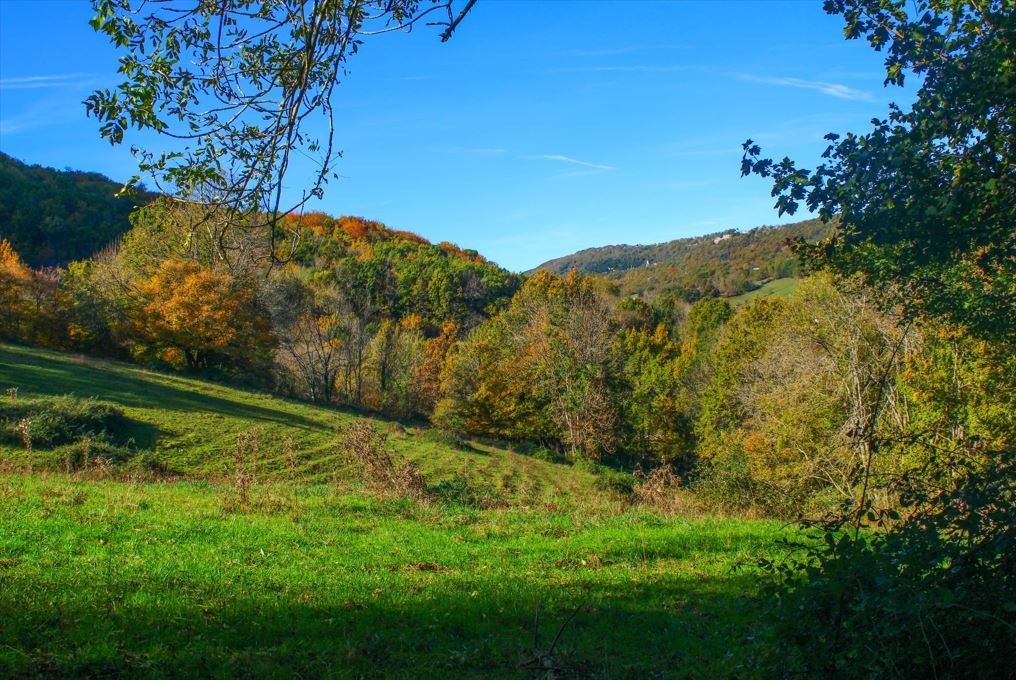 Les belles teintes orangées de l'automne en pays d'Olmes (Roquefixade)