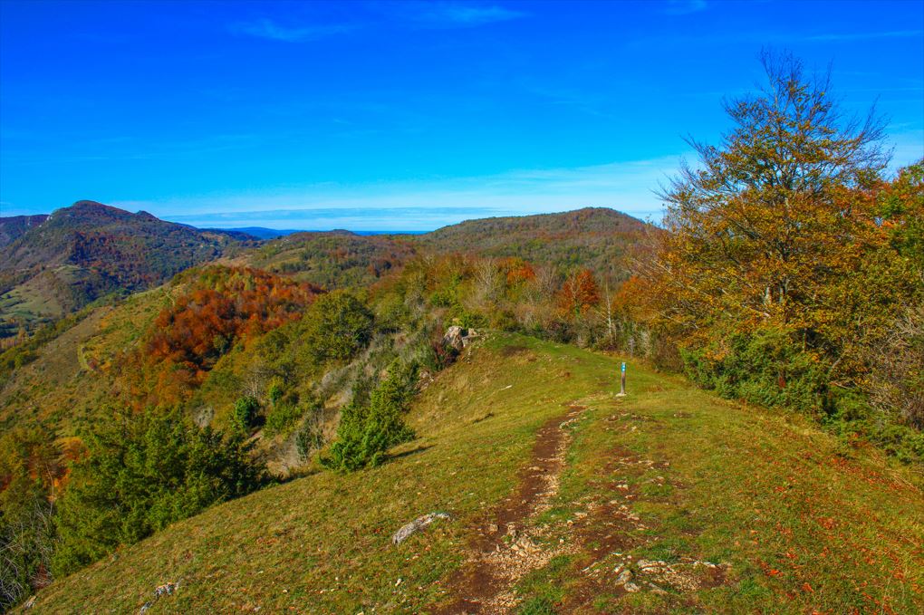 Je pars découvrir les forêts de Roquefixade et Roquefort, aux couleurs d'automne