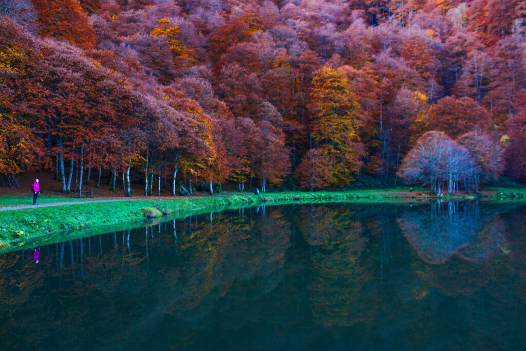 Les fabuleuses couleurs de l'étang de Bethmale à l'automne