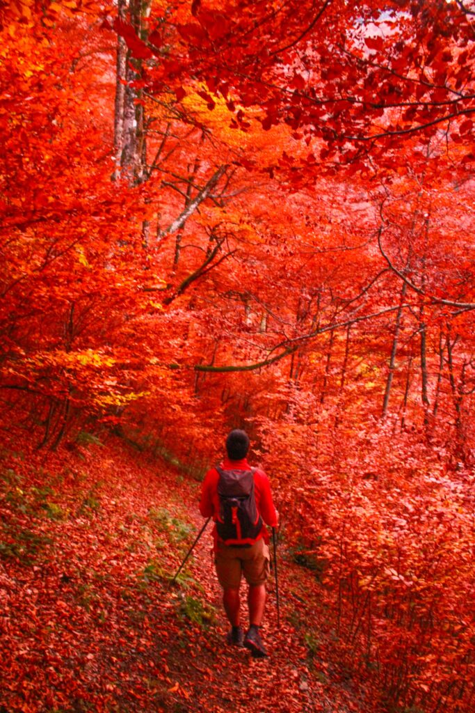 Notre randonnée à Bethmale se termine dans un environnement splendide au coeur des couleurs d'automne