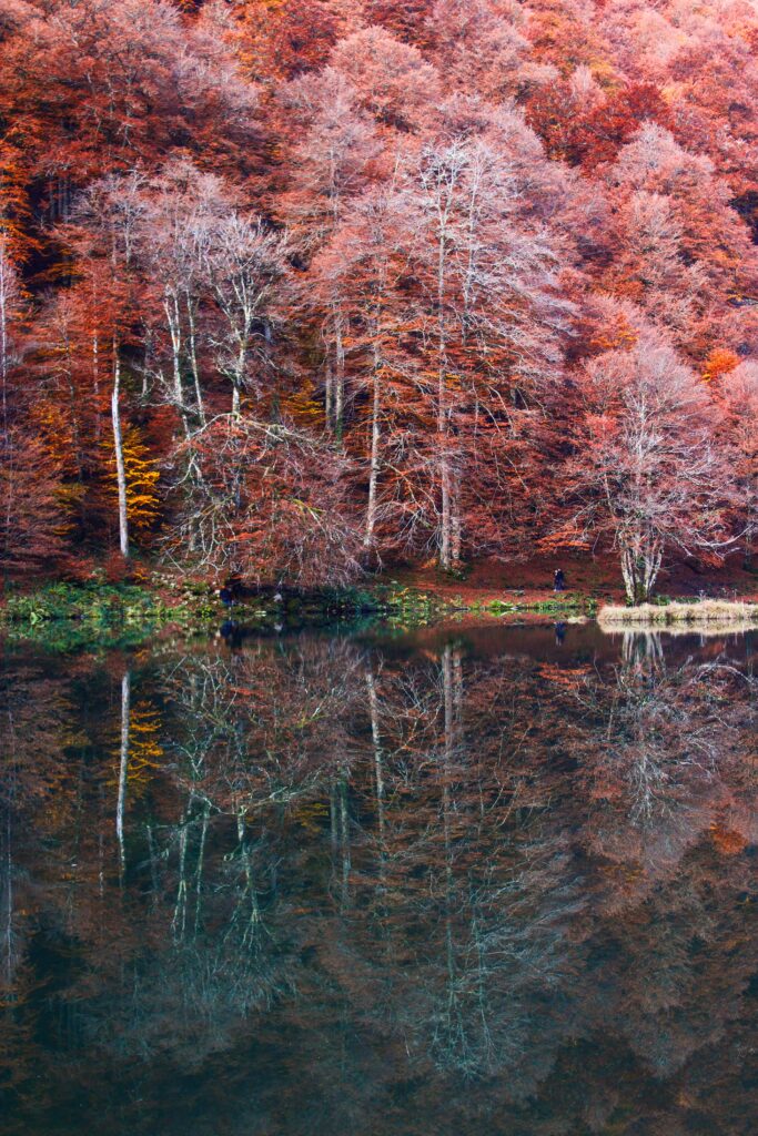 L'étang de Bethmale offre de splendides reflets au visiteur en toutes saisons