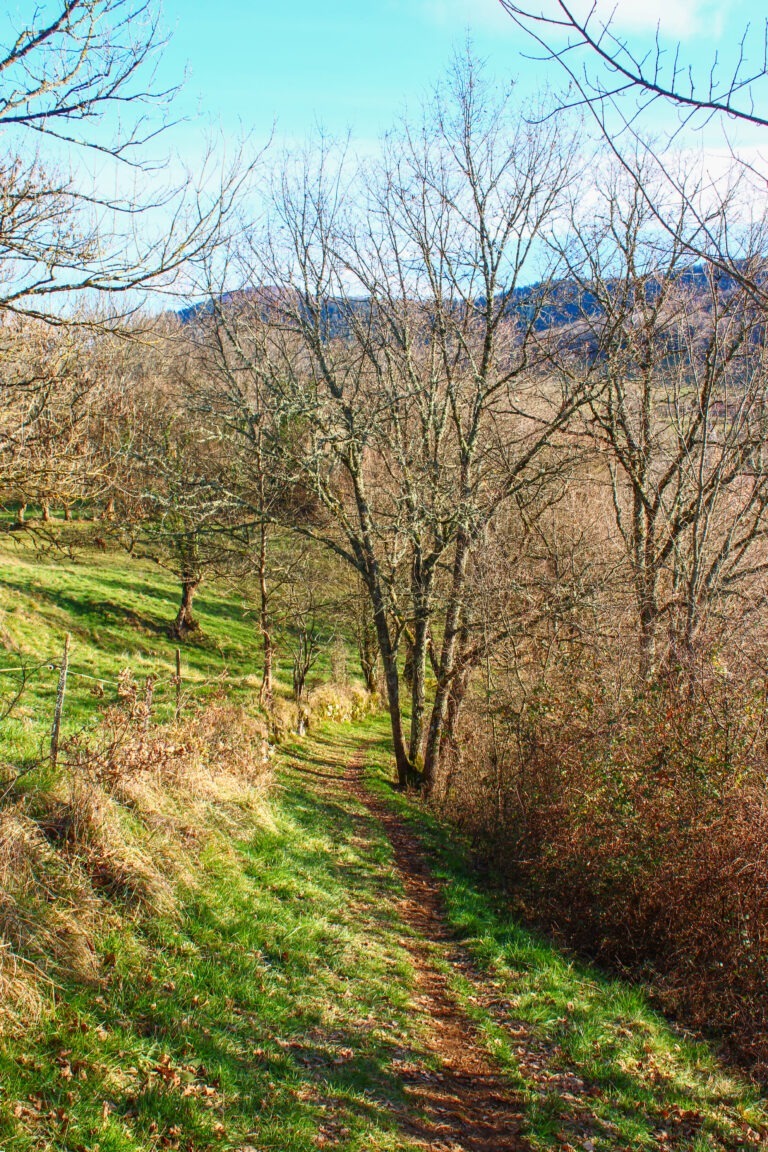 Montée à la chapelle d'Alzen par de magnifiques sentiers entre prairies et forêt.