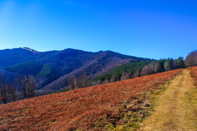 Je grimpe progressivement sur les sommets du massif de l'Arize, au dessus d'Alzen