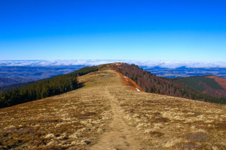 Les premières crêtes herbeuses du massif de l'Arize. Panoramas garantis !