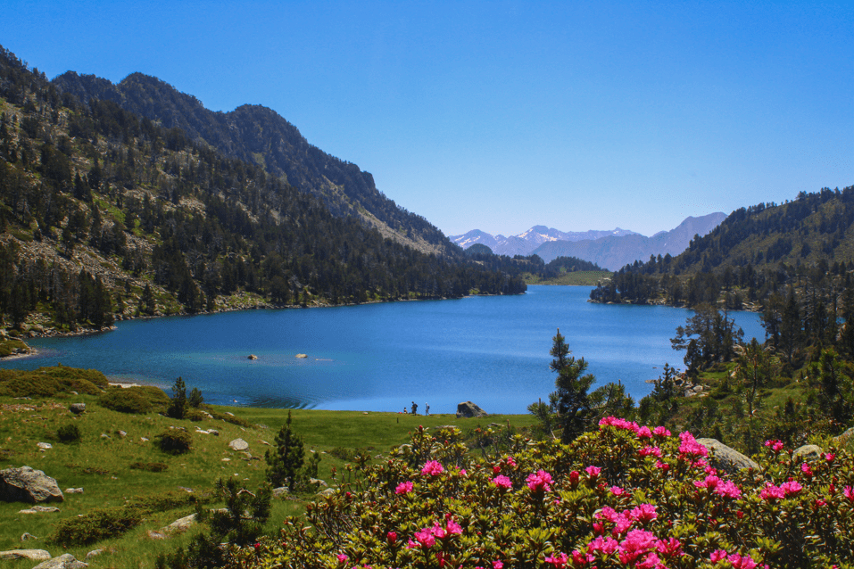 les GR des Pyrénées