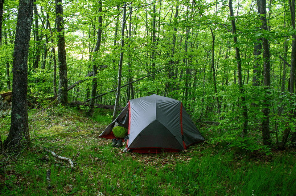 Premier bivouac de notre tour du pays d'Olmes... En forêt, évidemment !