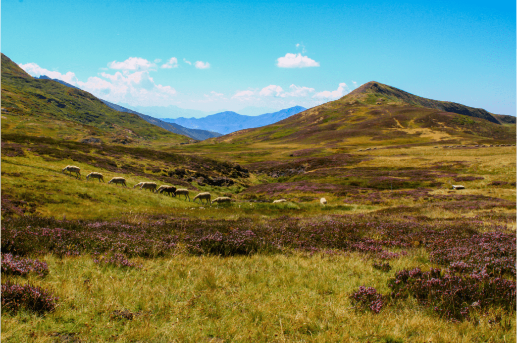 Le plateau d'Uls, un lieu sauvage du Luchonnais, traversé par le GR10