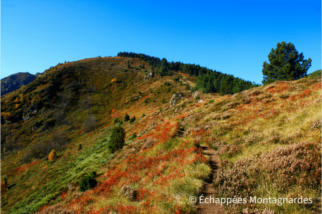 Ascension aux couleurs d'automne dans le massif de Tabe