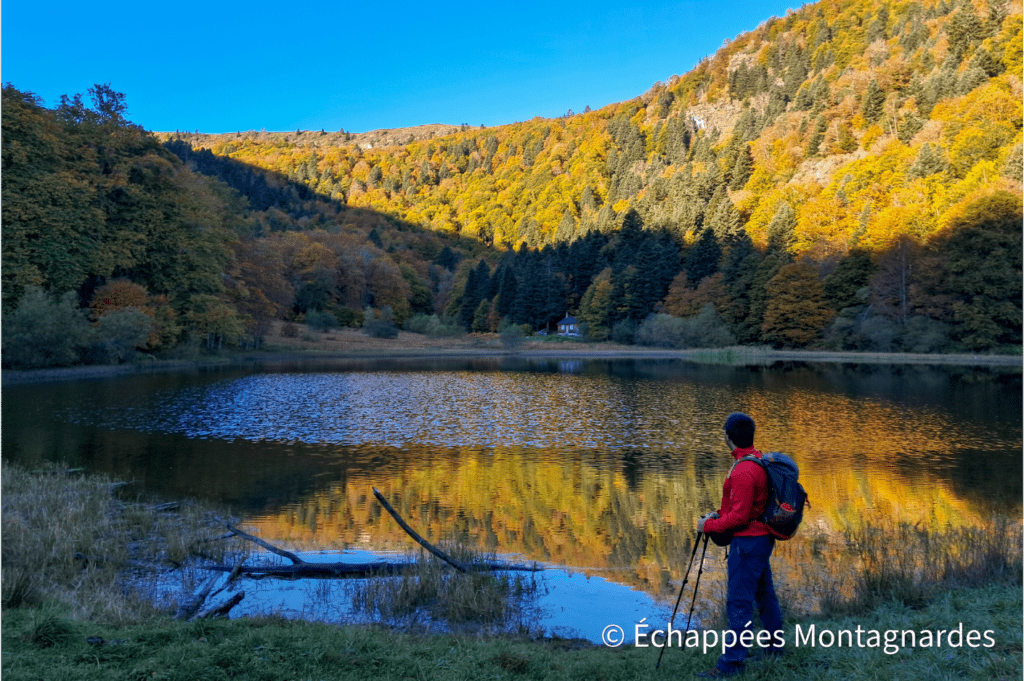 Contemplation de l'étang de Moulzoune en automne