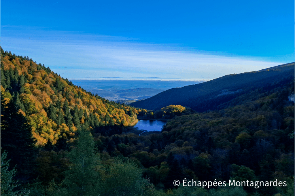 Vue sur l'étang de Moulzoune